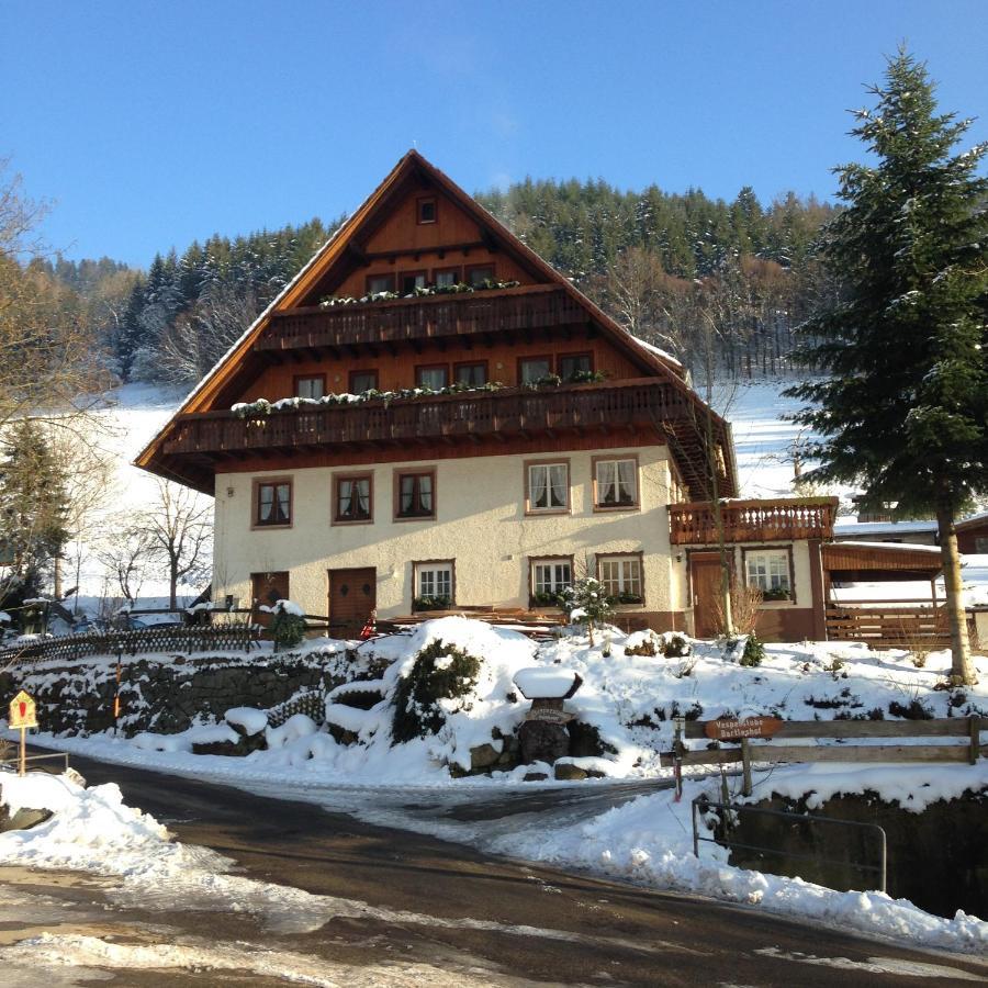 Bartleshof Appartement Wolfach Buitenkant foto